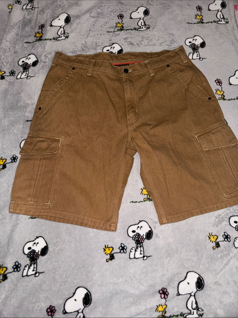Patagonia Men's Cargo Shorts